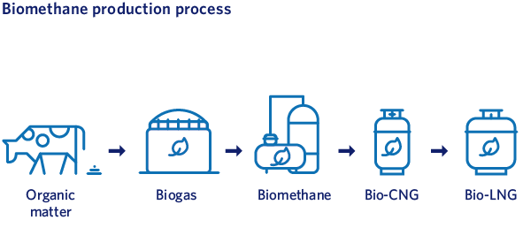 Biomethane production process