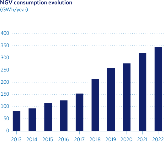 NGV consumption evolution